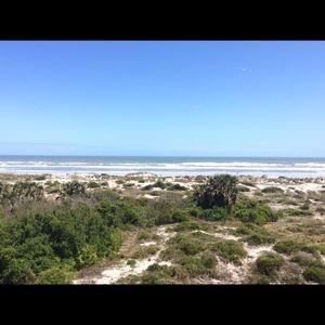 Meet your Posher, Sydney